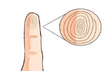 Xem đường chỉ tay trên ngón út biết ngay vận mệnh về già