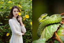 3 con giáp dễ gặp họa phá tài, mất sạch tiền cuối tháng 4/2019