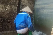 Thất nghiệp vì Covid-19: Lễ tân du thuyền hạng sang đi mò cua bắt ốc