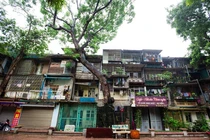 Kỳ lạ kiến trúc cây mọc xuyên nhà tại khu tập thể cũ ở Hà Nội