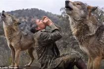 “Người rừng" sống với chó sói 12 năm khổ sở khi sống với người