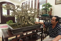 Sanh quê "nhỏ mà có võ", bán nửa tỷ đồng