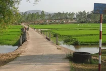 Chuyện “ma sống” vất vưởng quanh cây cầu ở Quảng Nam