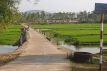 Chuyện “ma sống” vất vưởng quanh cây cầu ở Quảng Nam