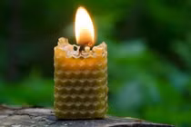 Làm sạch không khí trong nhà, dễ mà hiệu quả chỉ với 5 điều này