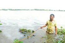 Kỳ bí nghề "làm bạn với hà bá" ở An Giang