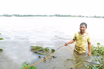 Kỳ bí nghề "làm bạn với hà bá" ở An Giang