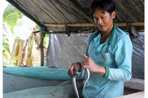 Anh nông dân kiếm bội tiền nhờ làm chuồng nuôi rắn vảy ngũ sắc