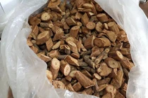 Uống rượu thuốc 3 người tử vong: Nghi rượu ngâm nhầm cây lá ngón