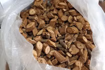 Uống rượu thuốc 3 người tử vong: Nghi rượu ngâm nhầm cây lá ngón