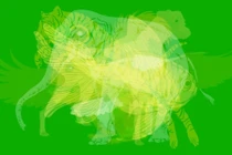 Trắc nghiệm: Con vật đầu tiên bạn thấy sẽ nói lên con người thực của bạn