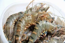 Chuyên gia bật mí cách mua tôm chuẩn người bán hàng cũng thua