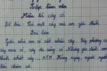 Bài văn tả cái cây của học sinh lớp 3 khiến cô giáo đứng hình