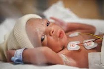  ​Vụ 4 trẻ sinh non tử vong: Viện sản nhi Bắc Ninh đã hết nhiễm khuẩn?