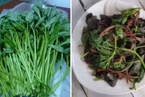 6 loại rau không nên luộc vì mất hết chất dinh dưỡng, sinh độc tố