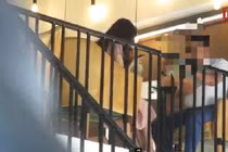 Đường dây mua bán trinh cho đại gia: cuộc ngã giá chóng vánh