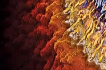 Ai sẽ thống trị Trái đất trong tương lai?