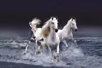 Nửa cuối tháng 11/2021: 3 con giáp vướng họa phá tài, làm gì cũng bại 