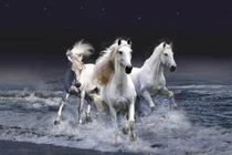 Nửa cuối tháng 11/2021: 3 con giáp vướng họa phá tài, làm gì cũng bại 