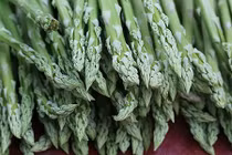 Vườn măng tây cho thu nhập hàng tỷ đồng mỗi năm