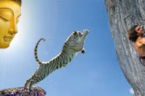 Lời Phật dạy: Buông bỏ để hạnh phúc hơn