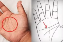 Cách xem đường chỉ tay, biết ai số phú quý, ai cả đời chật vật