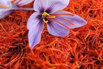 Những thực phẩm “đắt xắt ra miếng” trên thế giới