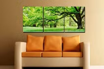 Chọn tranh treo tường phòng khách cho người mệnh Mộc