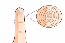 Dấu hiệu vàng trên ngón út là điềm báo may mắn ngút trời