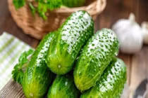 Mẹo chọn dưa chuột giòn ngọt, không đắng