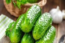 Mẹo chọn dưa chuột giòn ngọt, không đắng