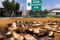 Chuyện thật như đùa: Người đàn ông mua rác về biến thành tiền