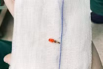 Cảnh giác với những món đồ chơi gây nguy hiểm tính mạng trẻ