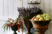 Bài trí hoa oải hương đúng phong thủy để hạnh phúc viên mãn