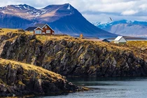 Quốc gia nào chỉ có 1 con muỗi và đang được... ngâm rượu?