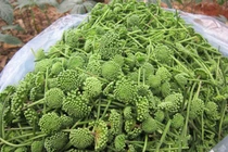 Bất ngờ loại rau đặc sản Việt đắt ngang cua hoàng đế, tôm hùm Mỹ