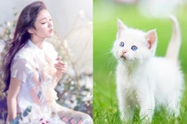 Top 3 con giáp vận đỏ phừng phừng giữa tháng 12/2018