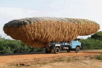 Loạt ảnh thú vị hiếm người từng được 1 lần chiêm ngưỡng