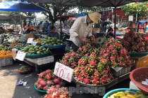 Trái cây mùa hè giá rẻ như cho vẫn ế