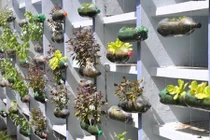 Những ý tưởng tuyệt hay tận dụng chai nhựa tạo khu vườn đẹp mắt