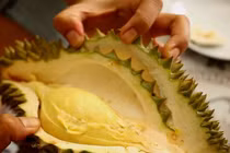 Video: 5 bước bóc vỏ sầu riêng siêu đơn giản, không bị gai đâm