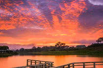 Video: Vì sao bầu trời chuyển sang màu đỏ lúc hoàng hôn?