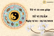Video: Tử vi tuần mới từ 9/12 đến 15/12 năm 2019 của 12 con giáp