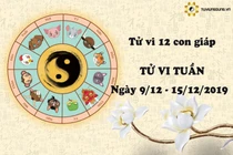 Video: Tử vi tuần mới từ 9/12 đến 15/12 năm 2019 của 12 con giáp