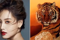 Top 3 con giáp cả đời đau đầu vì tiền, áp lực cuộc sống