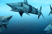 Kiếm bộn nhờ sao chép cá mập chứng khoán, tại sao không?