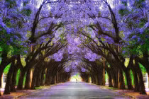 Mê mẩn ngắm 10 đường hầm tự nhiên đẹp nhất thế giới