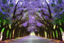 Mê mẩn ngắm 10 đường hầm tự nhiên đẹp nhất thế giới