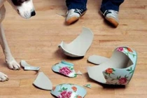 Nhận biết dấu hiệu bạn sắp gặp sao quả tạ, tiền không cánh mà bay