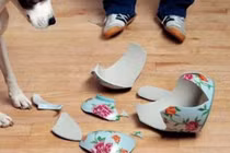 Nhận biết dấu hiệu bạn sắp gặp sao quả tạ, tiền không cánh mà bay